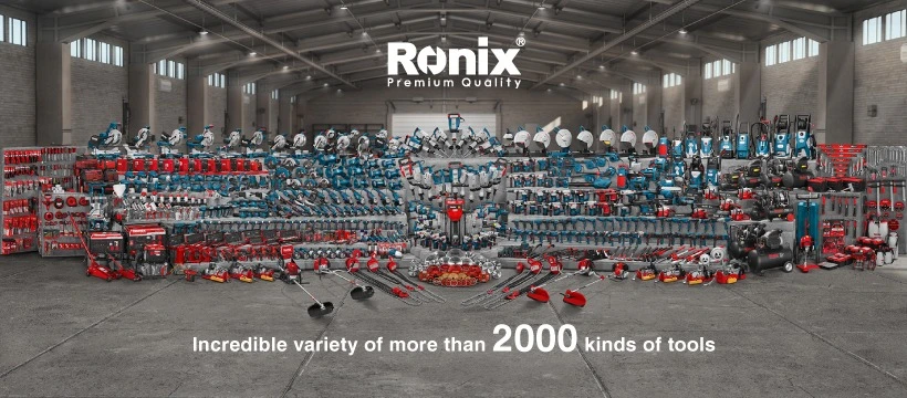 Ronix High-Quality 6&prime;&prime;~10&prime;&prime; Hand Tools Model Rh-1196~90 Slip Joint Plier